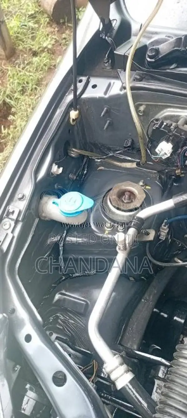 Suzuki Alto 2015 Car (Used)