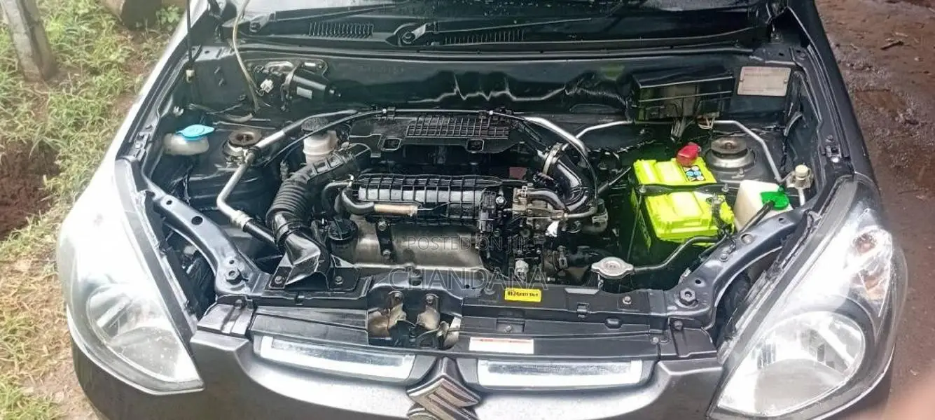 Suzuki Alto 2015 Car (Used)