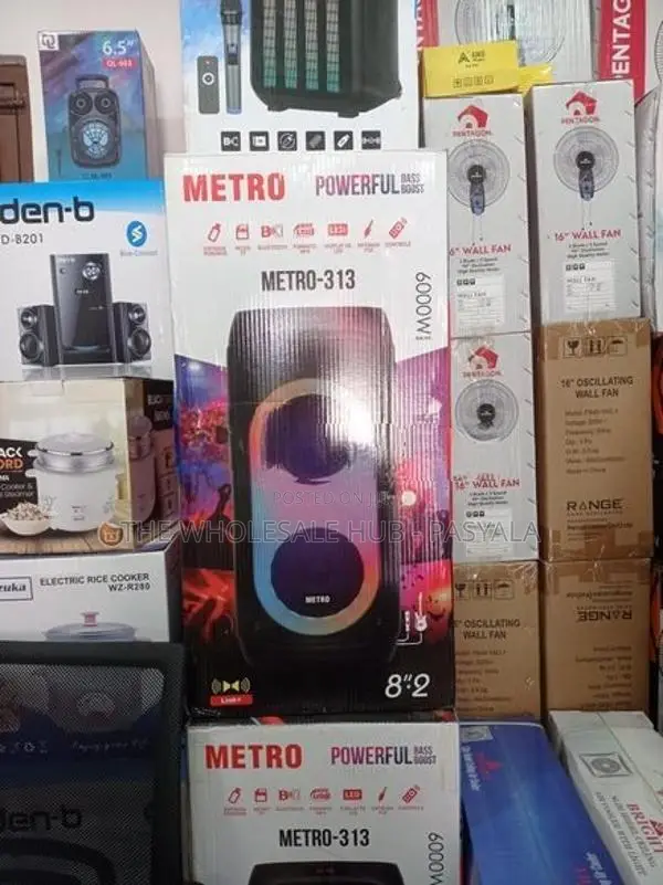 NDR Karaoke Speaker 810
