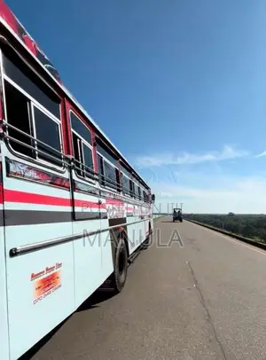 Ashok-Leyland Viking 2012 Bus (Used)