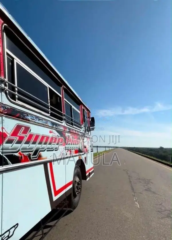 Ashok-Leyland Viking 2012 Bus (Used)