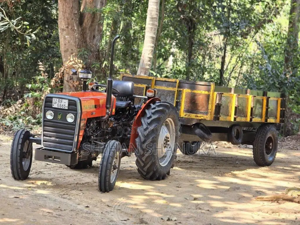 TAFE 45DI 2017 Tractor (Used)