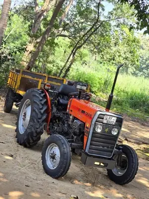 TAFE 45DI 2017 Tractor (Used)