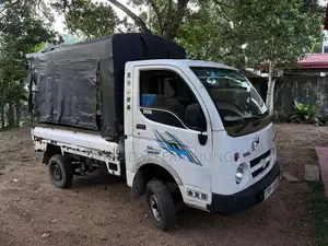 Tata Dimo Batta ACE 2010 Lorry (Used)