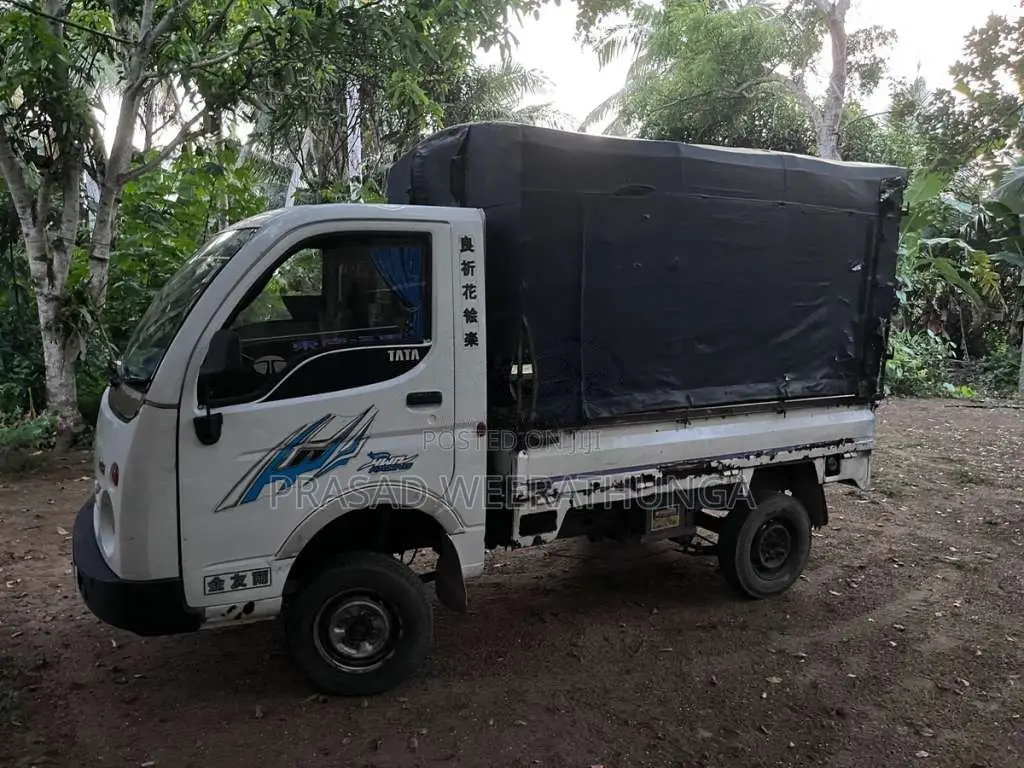 Tata Dimo Batta ACE 2010 Lorry (Used)