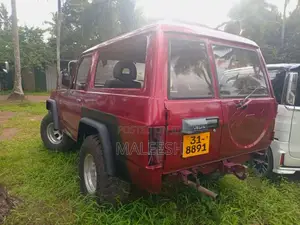 Nissan Patal 1971 SUV (Used)