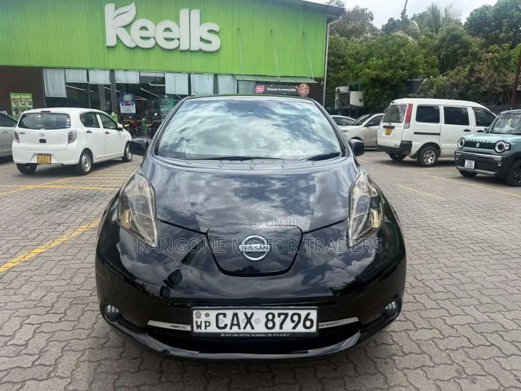 Nissan Leaf 2013 Car (Used)