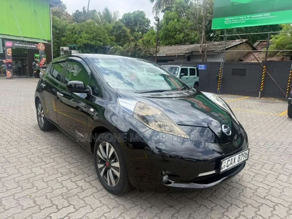 Nissan Leaf 2013 Car (Used)