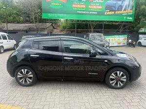 Nissan Leaf 2013 Car (Used)