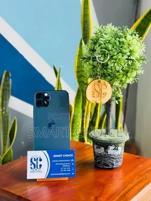 Apple iPhone 12 Pro 256GB H (Used)