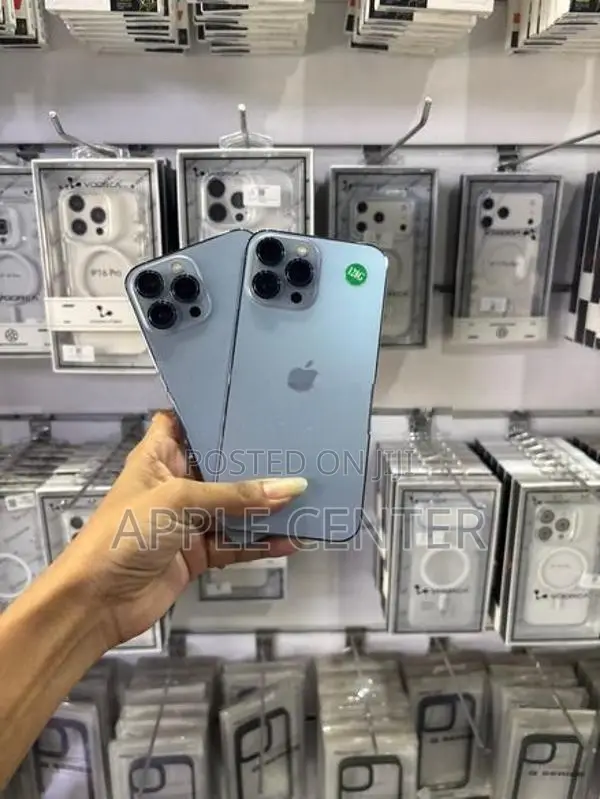 Apple iPhone 13 Pro Max (Used)