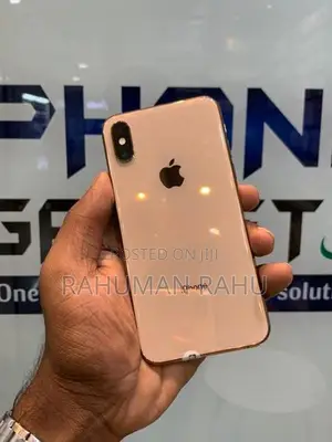 Apple iPhone XS 256GB (Used)