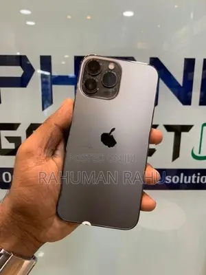 Apple iPhone 13 Pro Max 256GB (Used)