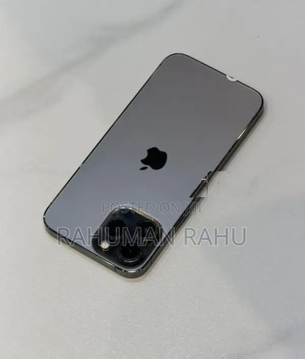 Apple iPhone 13 Pro Max 256GB (Used)