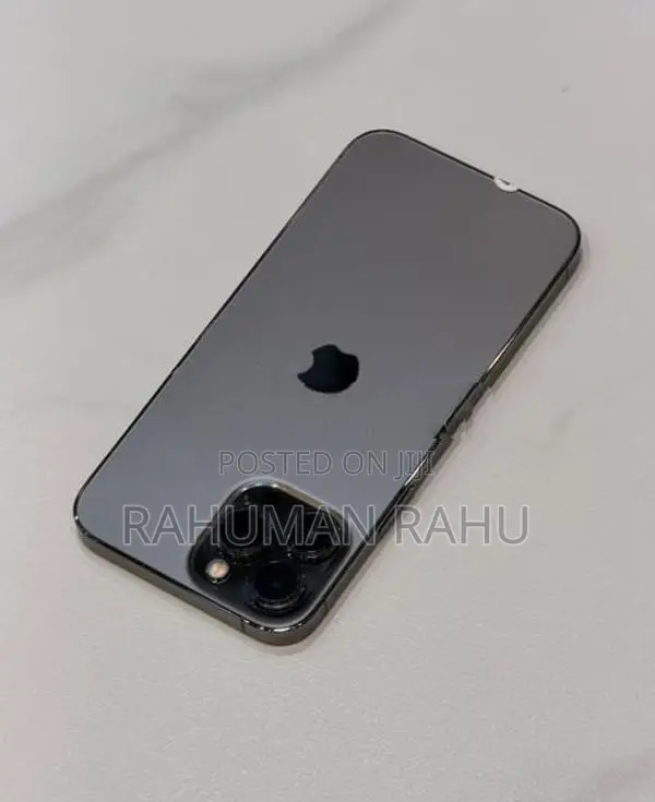 Apple iPhone 13 Pro Max 256GB (Used)