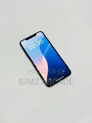 Apple iPhone XS Max 256GB (Used)