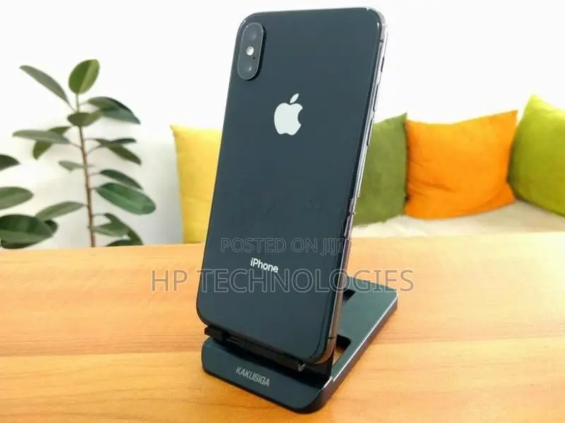 Apple iPhone XS 256GB (Used)