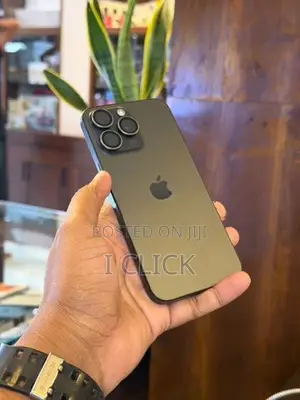 Apple iPhone 15 Pro Max 256GB (Used)