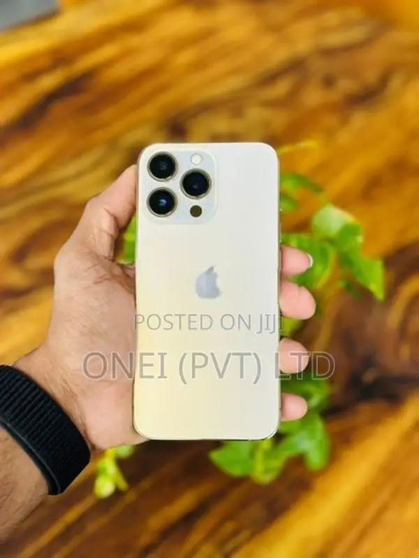 Apple iPhone 13 Pro (Used)