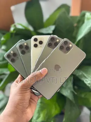 Apple iPhone 11 Pro Max 256GB (Used)