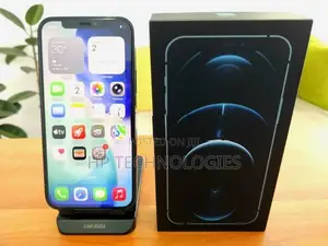 Apple iPhone 12 Pro 256GB (Used)