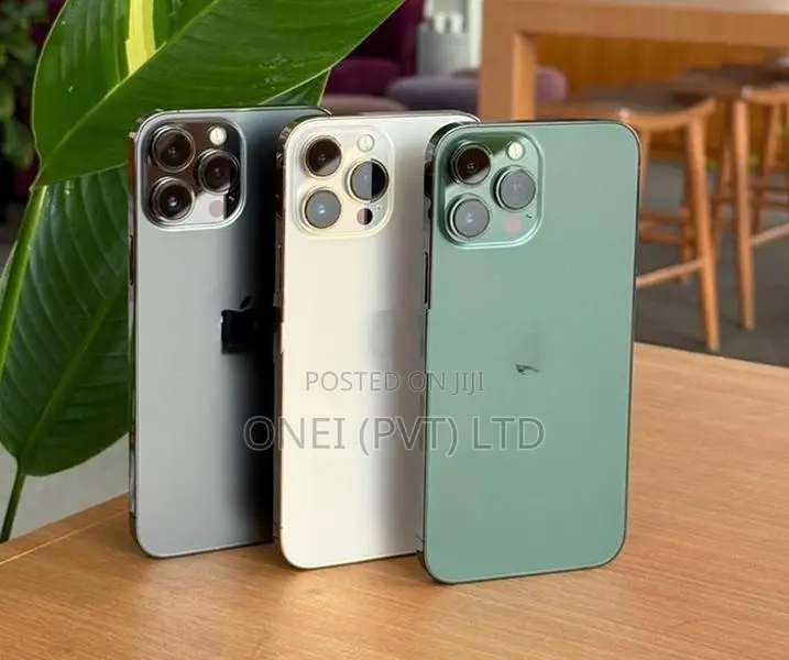 Apple iPhone 13 Pro Max 256GB (Used)