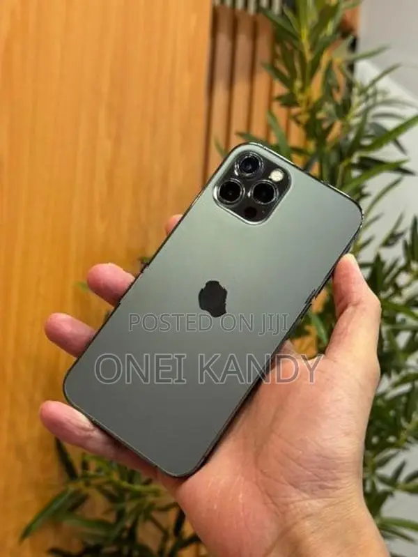 Apple iPhone 12 Pro 256GB (Used)