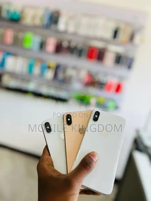 Apple iPhone XS Max 256GB Fullset (Used)