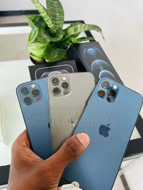 Apple iPhone 12 Pro 256GB Blue (Used)