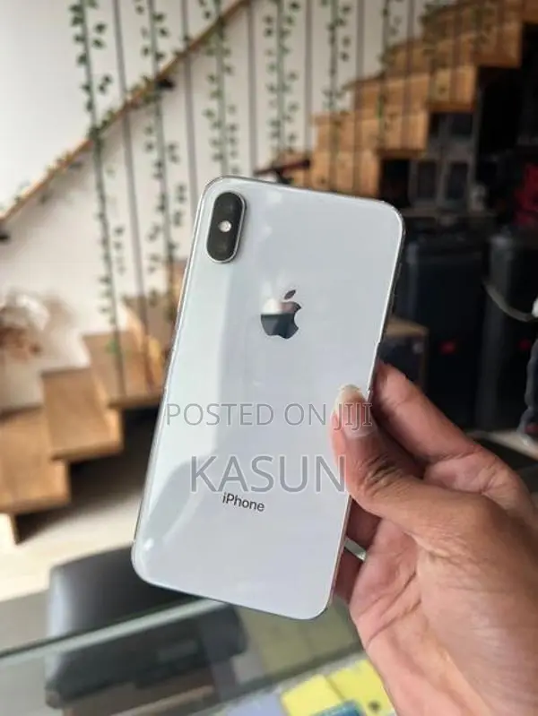 Apple iPhone X 256GB (Used)
