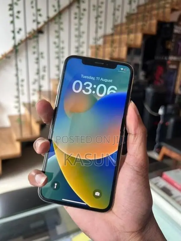 Apple iPhone X 256GB (Used)