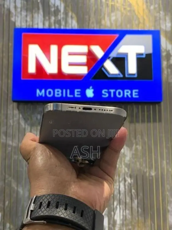 Apple iPhone 15 Pro Max 256GB (Used)