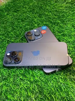 Apple iPhone 15 Pro 256GB (Used)