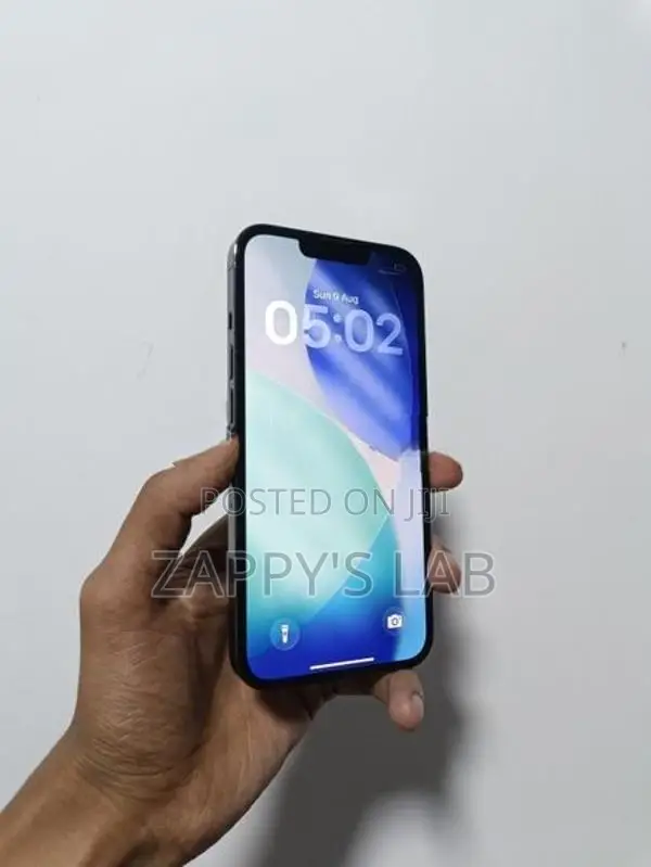Apple iPhone 13 Pro 256GB (Used)