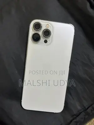 Apple iPhone 13 Pro Max (Used)
