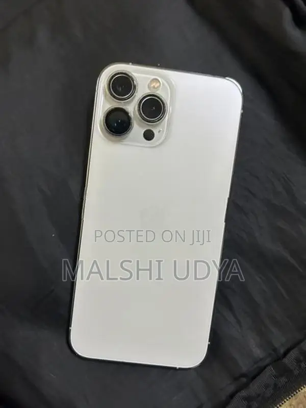 Apple iPhone 13 Pro Max (Used)