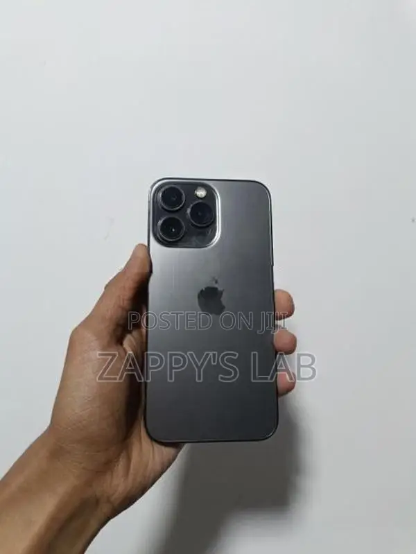 Apple iPhone 13 Pro 256GB (Used)