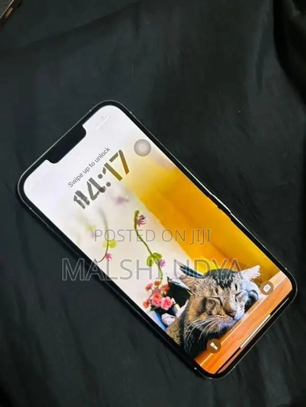 Apple iPhone 13 Pro Max (Used)