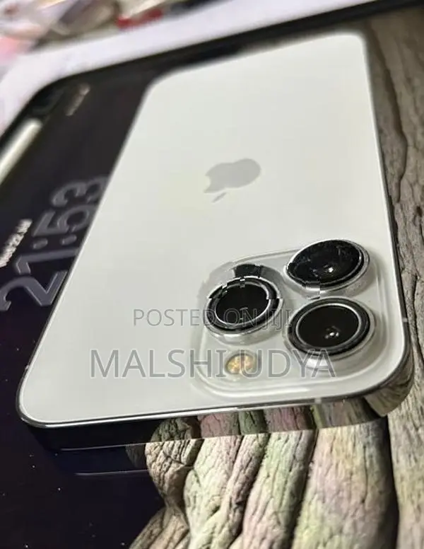 Apple iPhone 13 Pro Max (Used)