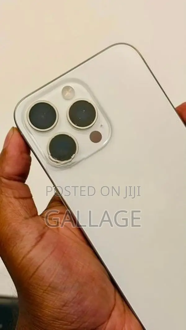 Apple iPhone 15 Pro Max 256GB (Used)