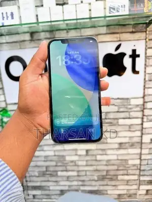 Apple iPhone 12 Pro Max 256GB (Used)