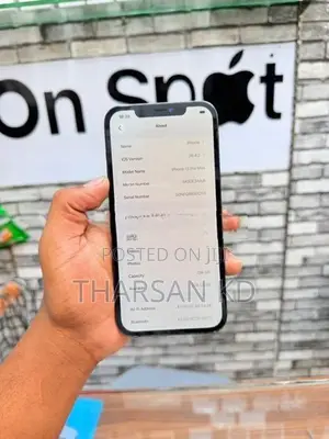 Apple iPhone 12 Pro Max 256GB (Used)