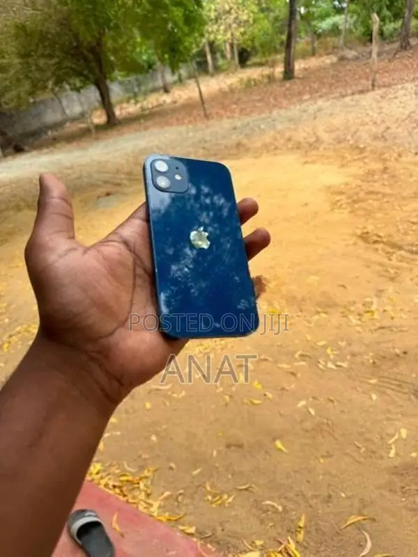 Apple iPhone 12 (Used)
