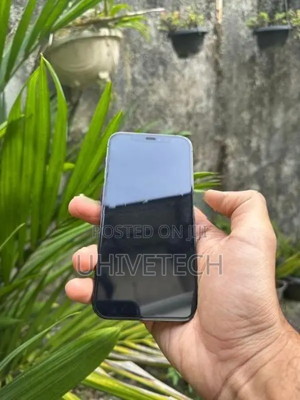 Apple iPhone 12 Pro (Used)