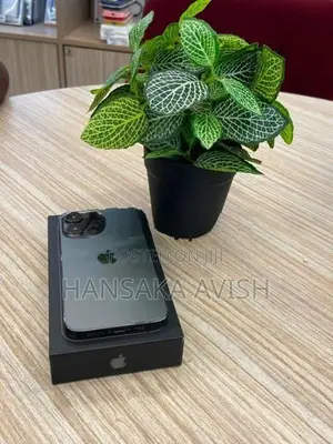 Apple iPhone 13 Pro (Used)