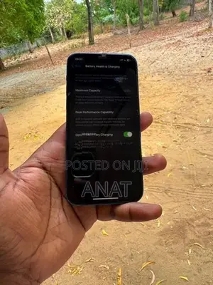 Apple iPhone 12 (Used)