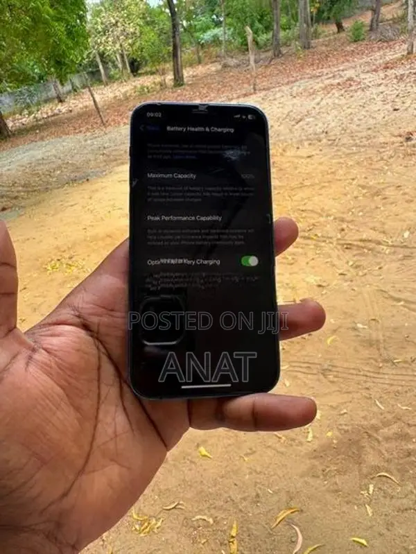 Apple iPhone 12 (Used)