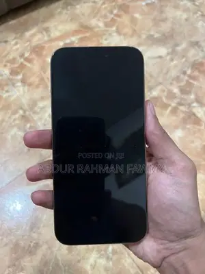 Apple iPhone 16 Pro Max (Used)