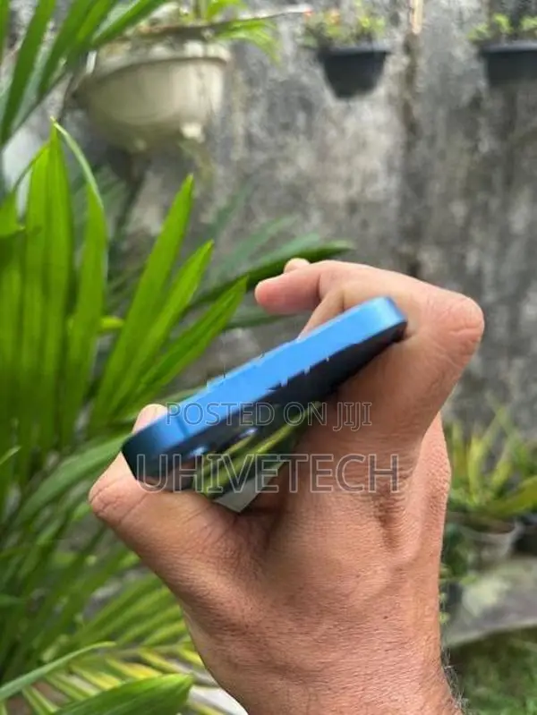 Apple iPhone 13 (Used)