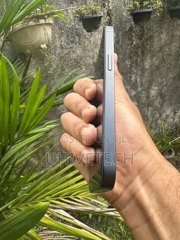 Apple iPhone 13 (Used)